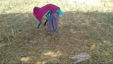 देसी इंडियन बॉयफ्रेंड ने खेत में काम कर रही उसकी मस्त चोदाई