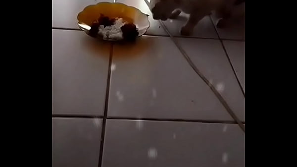 Anita, Si Gadis Nakal Yang Bikin Makin Penasaran Dengan Tubuhnya Yang Menggoda.